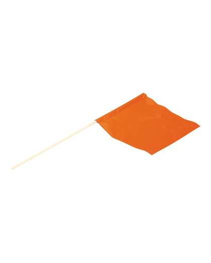 Airhead Water Ski Flag